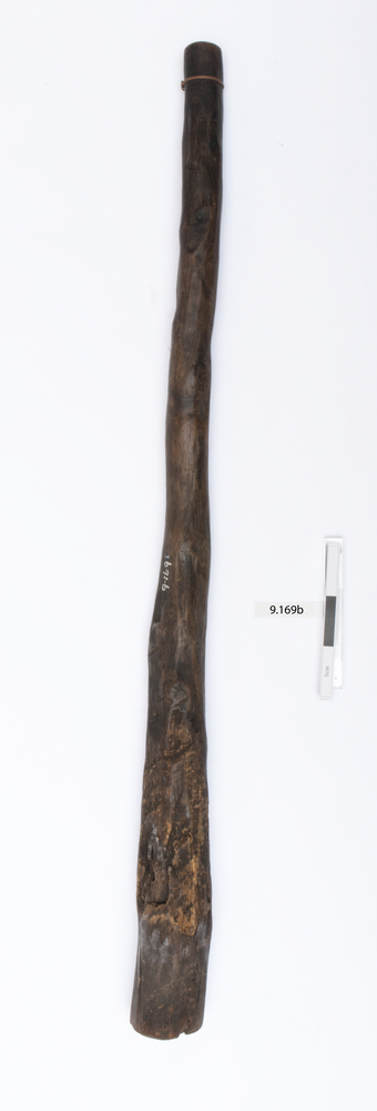 General view of whole of Horniman Museum object no 9.169b