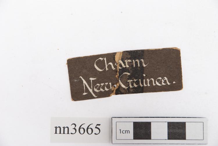 General view of label of Horniman Museum object no nn3665