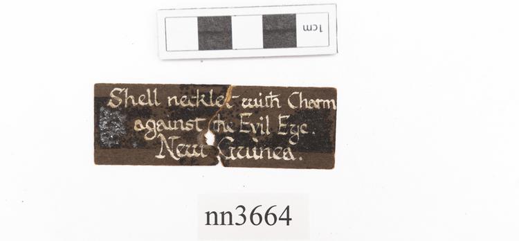 Frontal view of label of Horniman Museum object no nn3664