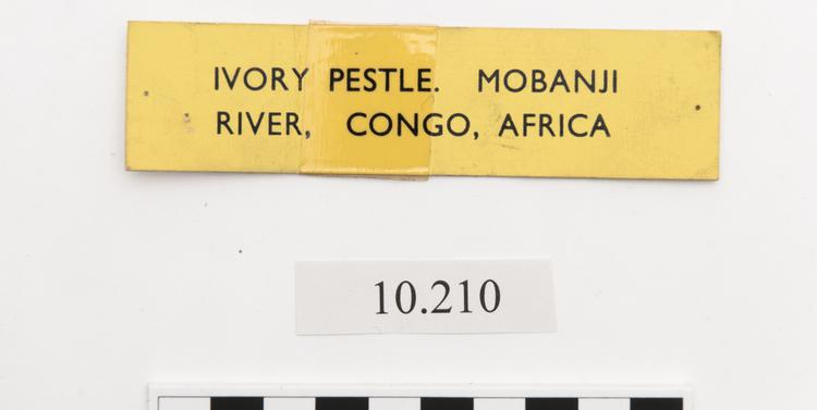 General view of label of Horniman Museum object no 10.210