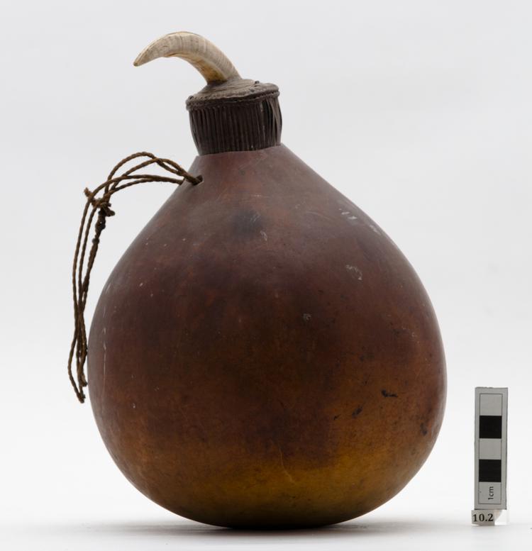 Image of lime gourd; lid (containers)