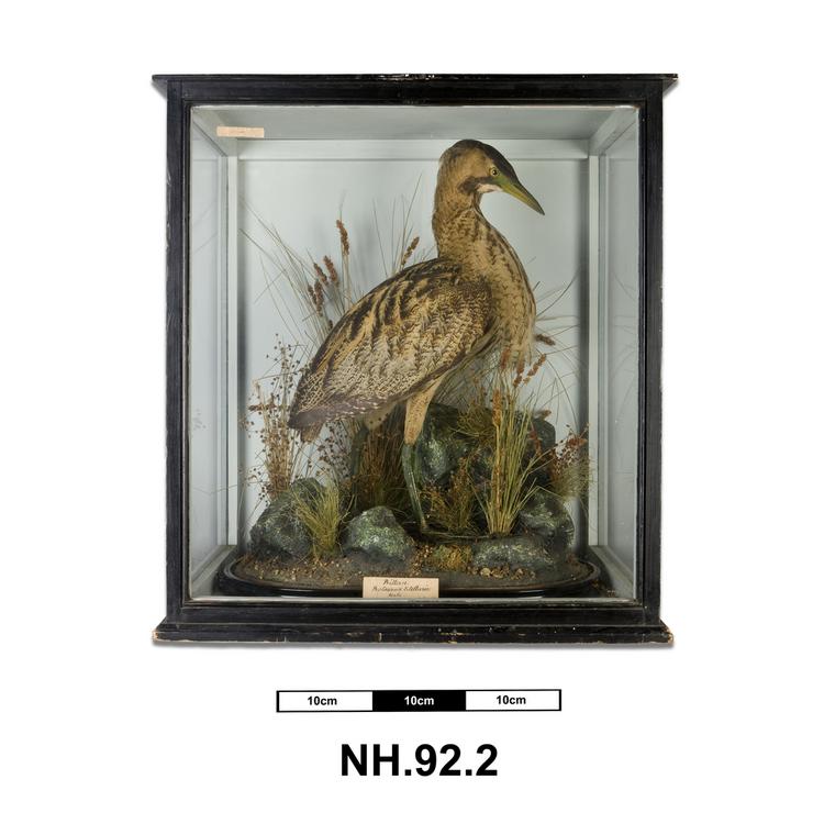 General view of whole of Horniman Museum object no NH.92.2