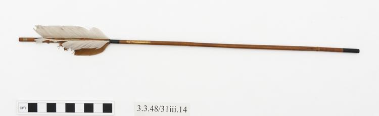 General view of whole of Horniman Museum object no 3.3.48/31iii.14