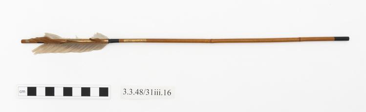 General view of whole of Horniman Museum object no 3.3.48/31iii.16