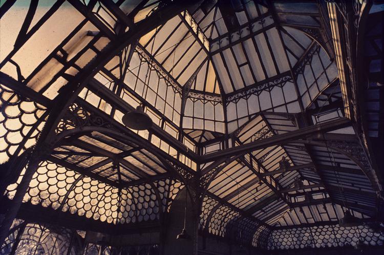 General view of whole of Horniman Museum object no ARC/HMG/BD/003/006/006/007 (the interior of the roof of the conservatory in situ at Coombe Cliff)