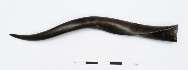 General view of whole of Horniman Museum object no 3370ii