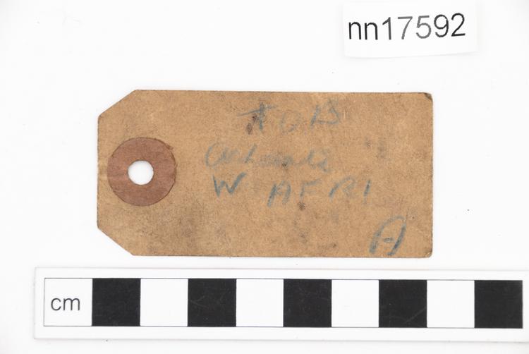 General view of label of Horniman Museum object no nn17592