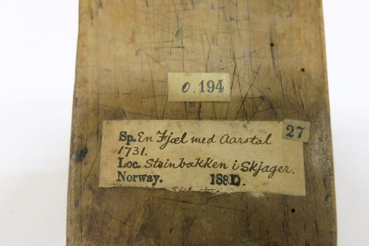 General view of the labels on the bottom of Horniman Museum object no 0.194