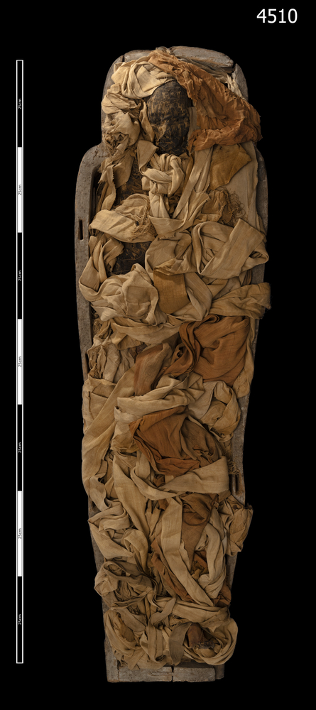 Frontal view of whole of Horniman Museum object no 4510
