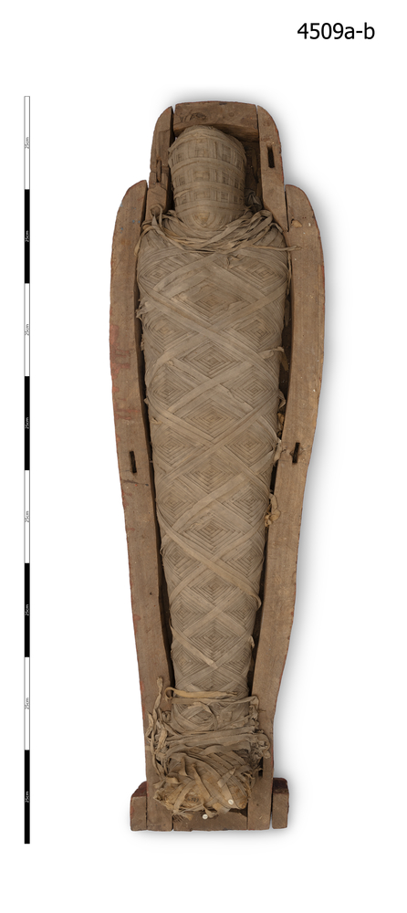General view of whole of Horniman Museum object no 4509b