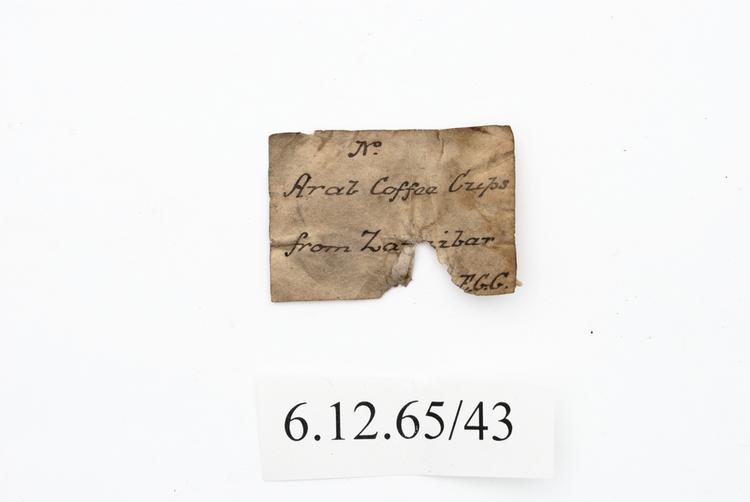 General view of label of Horniman Museum object no 6.12.65/43