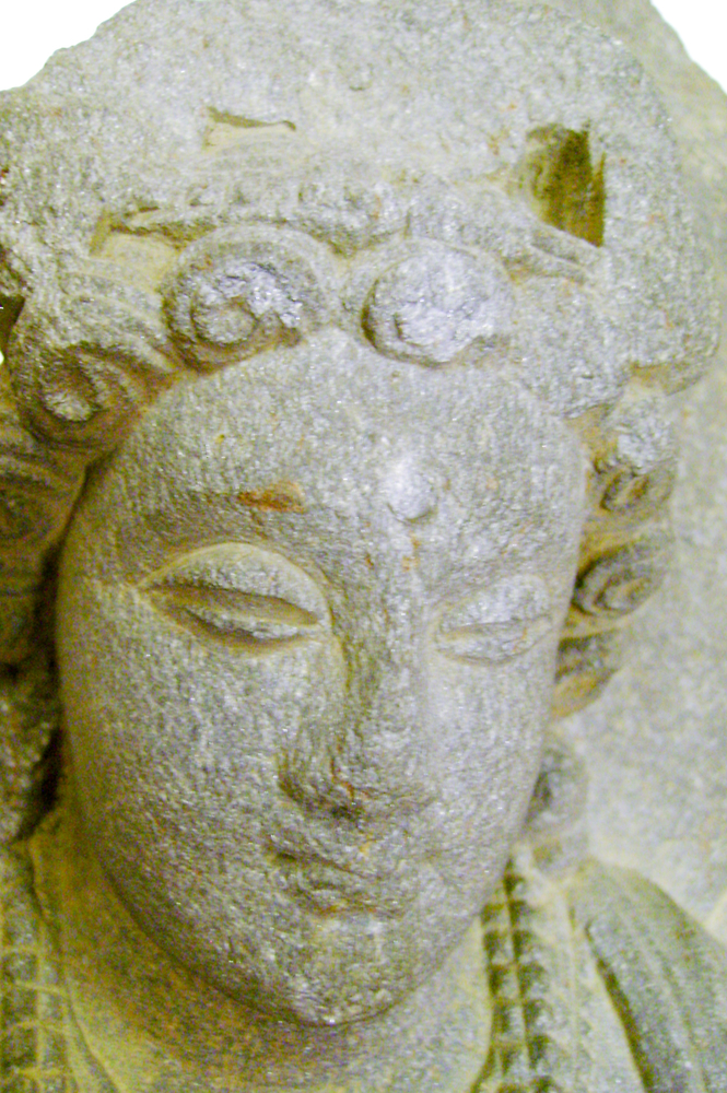 Detail view of head of Horniman Museum object no nn4366