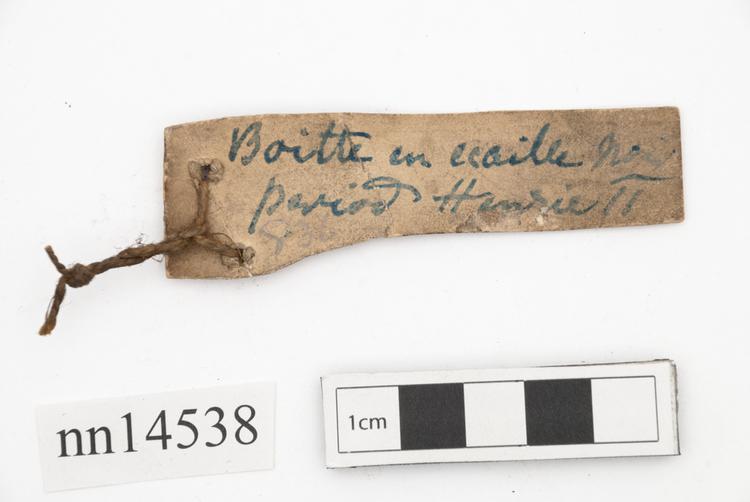 General view of label of Horniman Museum object no nn14538