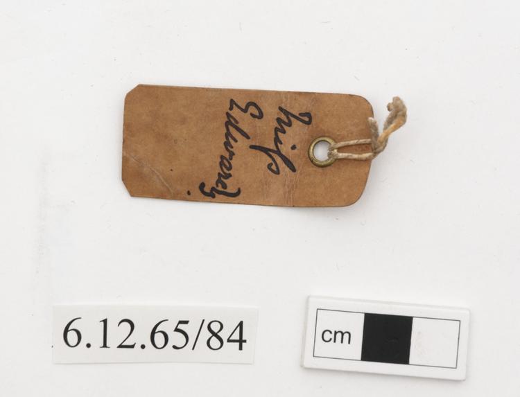 General view of label of Horniman Museum object no 6.12.65/84