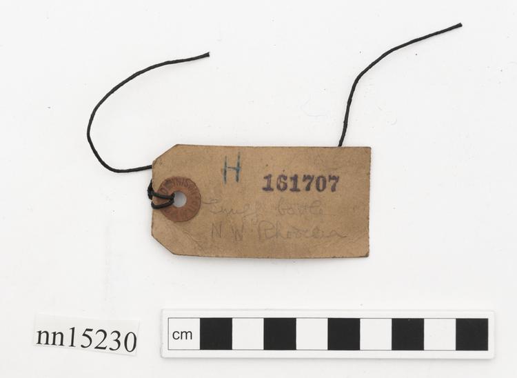 General view of label of Horniman Museum object no nn15230