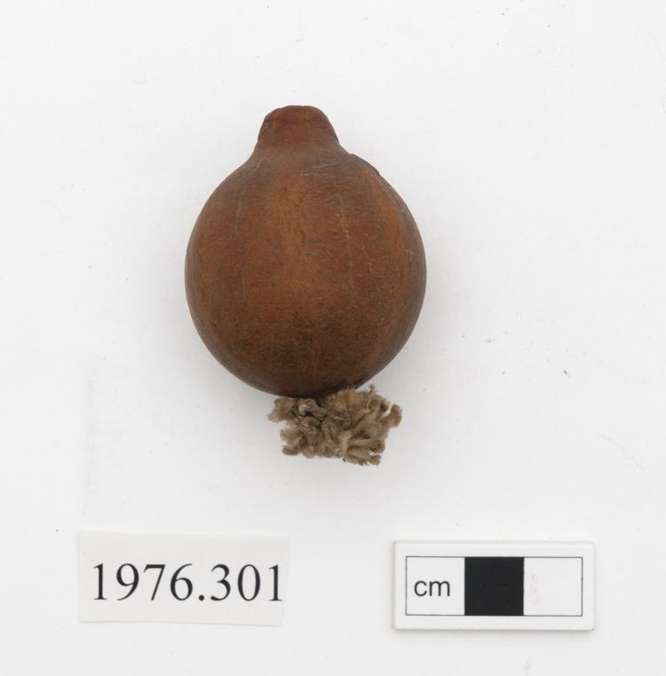 General view of whole of Horniman Museum object no 1976.301