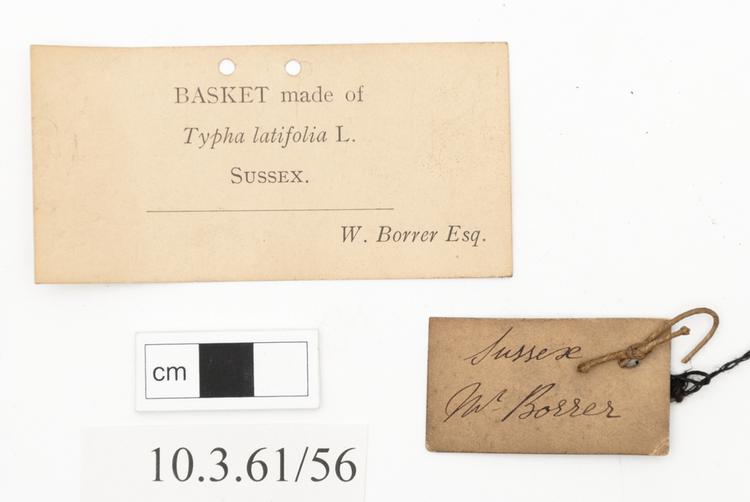 General view of label of Horniman Museum object no 10.3.61/56