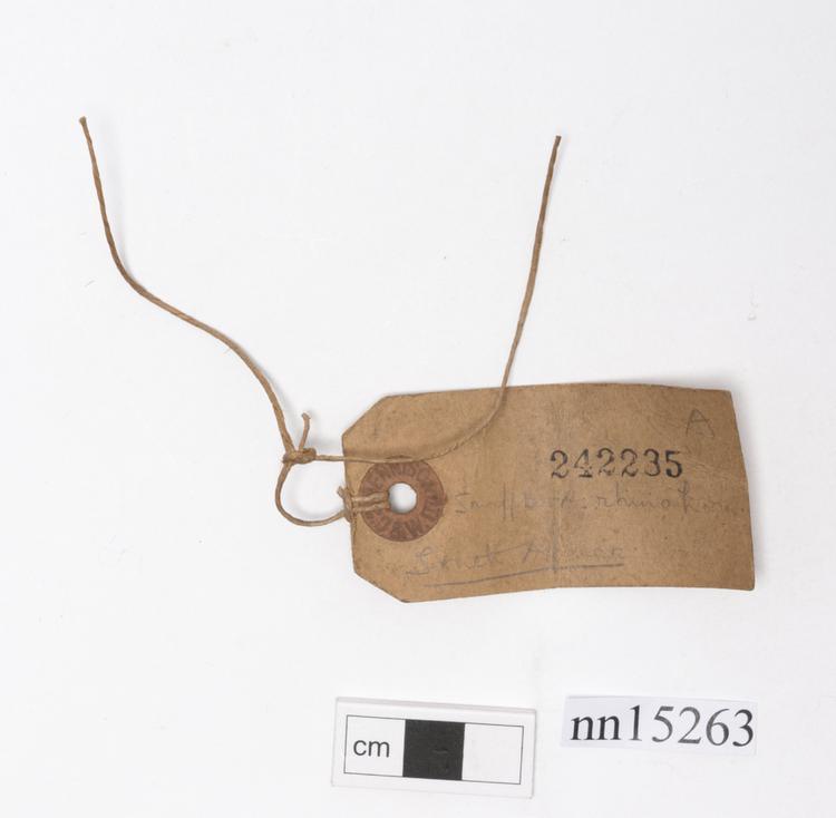 General view of label of Horniman Museum object no nn15263