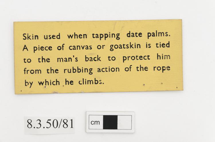 General view of label of Horniman Museum object no 8.3.50/81