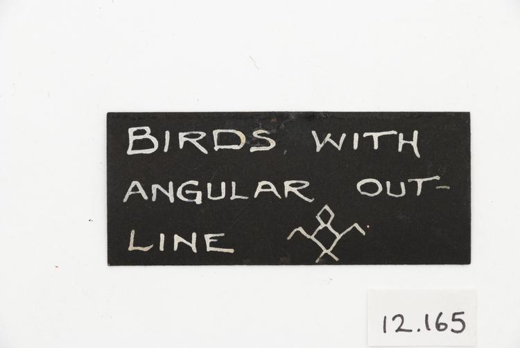 General view of label of Horniman Museum object no 12.165