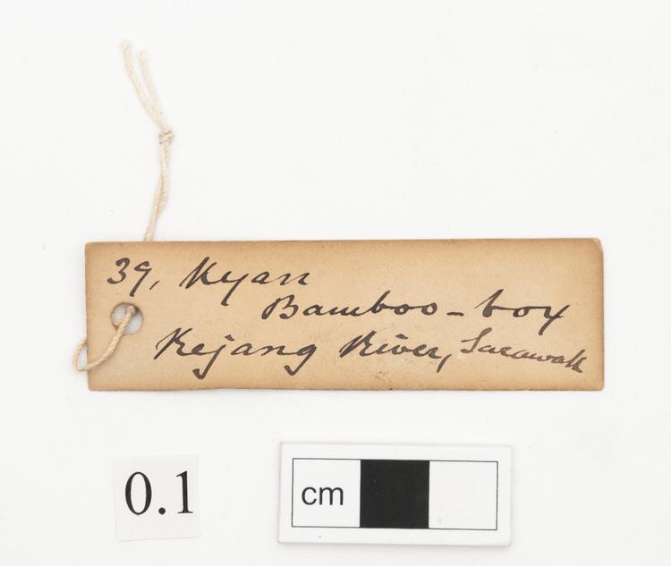 General view of label of Horniman Museum object no 0.1