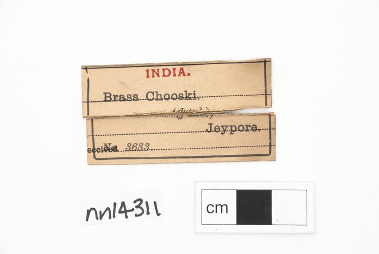 General view of label of Horniman Museum object no nn14311