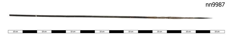 crocodile arrow