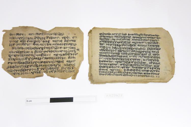 Image of manuscript