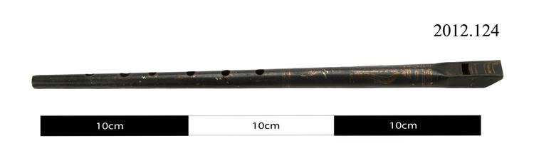 image of penny whistle