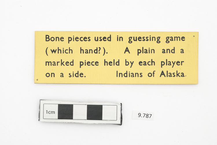 General view of label of Horniman Museum object no 9.787