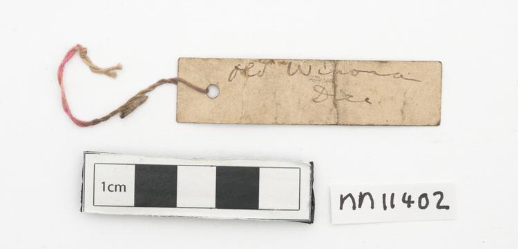 General view of label of Horniman Museum object no nn11402