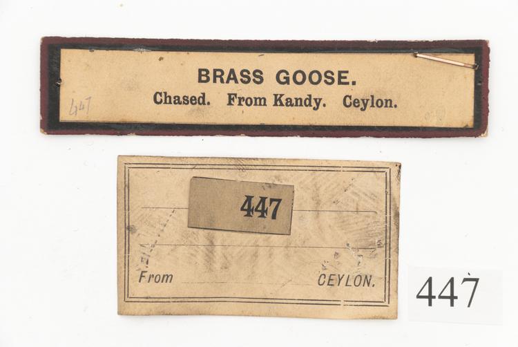 General view of label of Horniman Museum object no 447