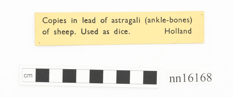 Image of knuckle bone components