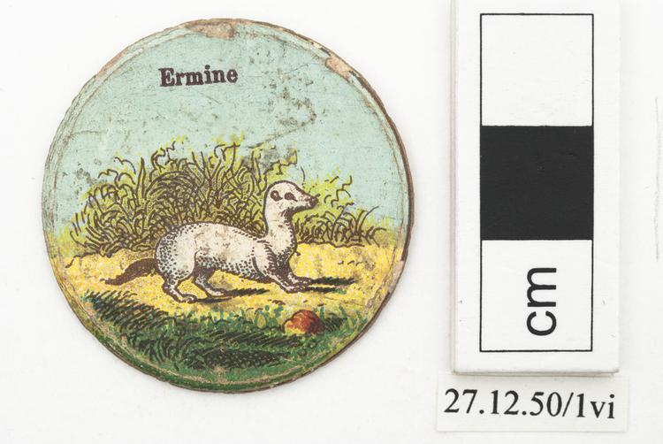 Frontal view  of whole of Horniman Museum object no 27.12.50/1vi