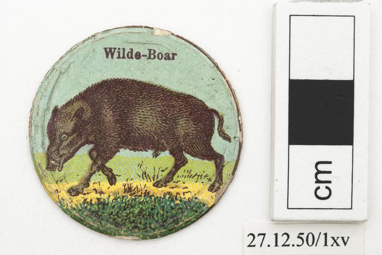 Frontal view  of whole of Horniman Museum object no 27.12.50/1xv