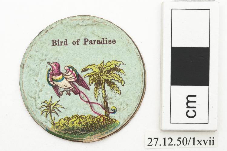 Frontal view  of whole of Horniman Museum object no 27.12.50/1xvii
