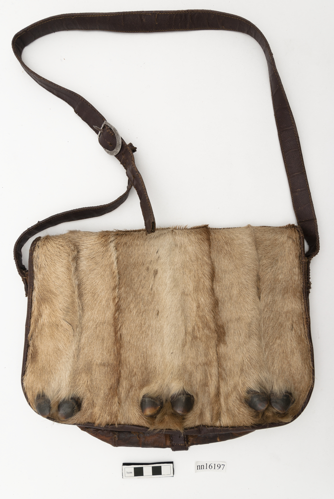 Image of game bag (bag (hunting, fishing & trapping))