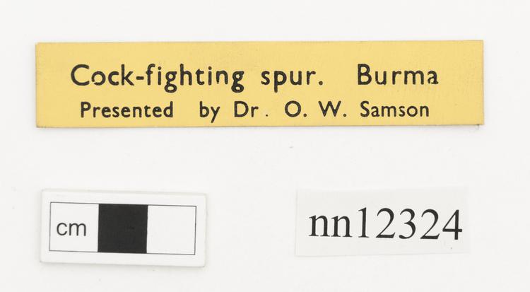 General view of label of Horniman Museum object no nn12324