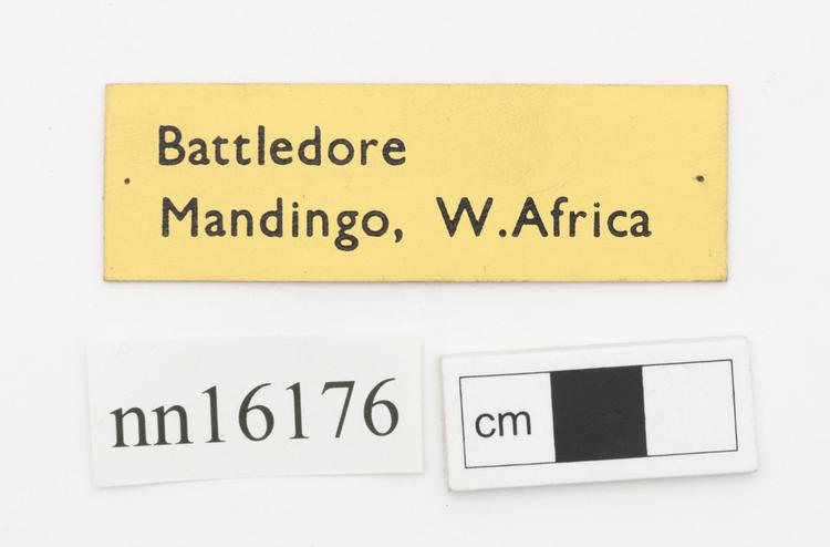 General view of label of Horniman Museum object no nn16176