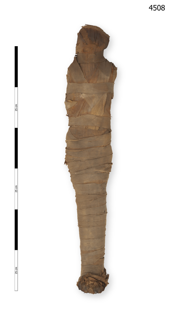 General view of whole of Horniman Museum object no 4508