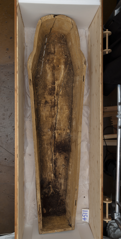 Image of mummy case