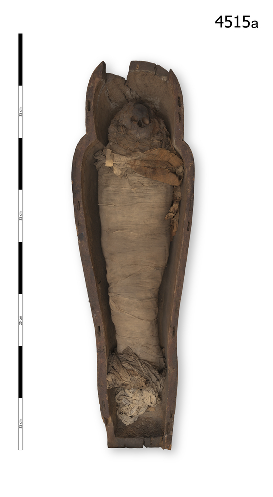 General view of whole of Horniman Museum object no 4515a