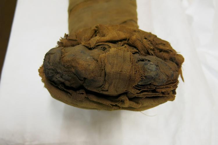 Frontal view of detail of feet of Horniman Museum object no 4508