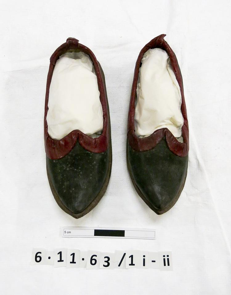 shoe (clothing: footwear)