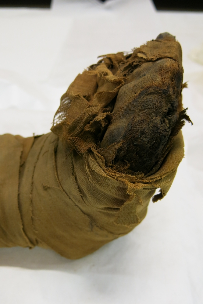 Right side of detail of feet of Horniman Museum object no 4508