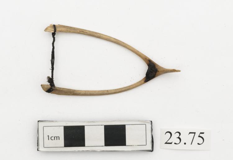 Image of toy