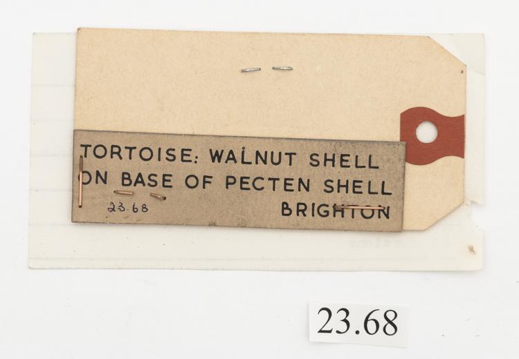General view of label of Horniman Museum object no 23.68