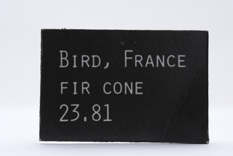 General view of label of Horniman Museum object no 23.81