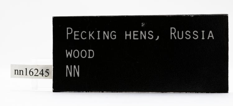 General view of label of Horniman Museum object no nn16245