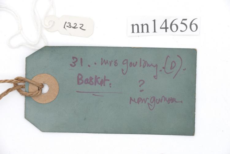 General view of label of Horniman Museum object no nn14656